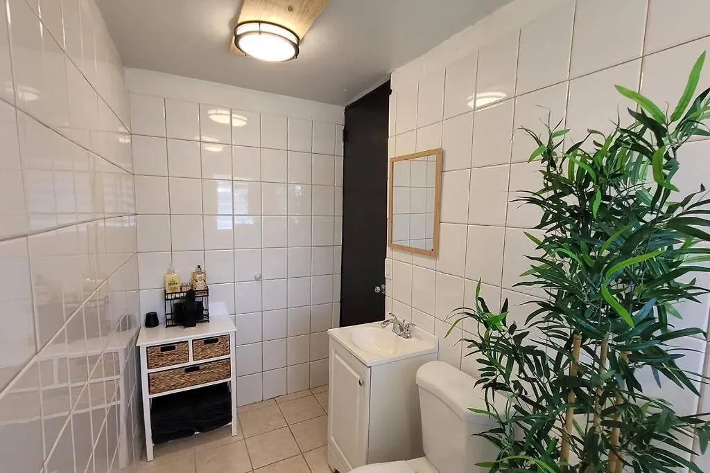 Naguabo Renovated Property - Cozy Apartment