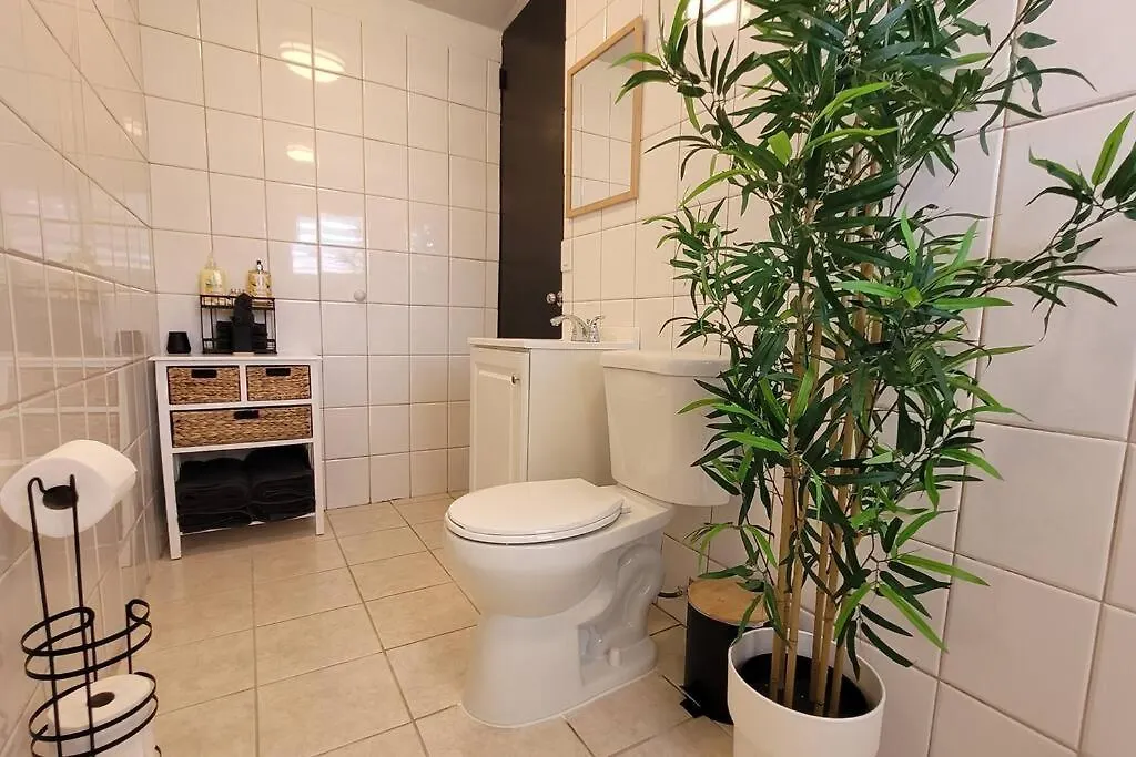 Naguabo Renovated Property - Cozy Apartment